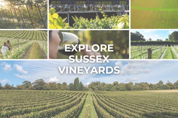 Discover Sussex Vineyards