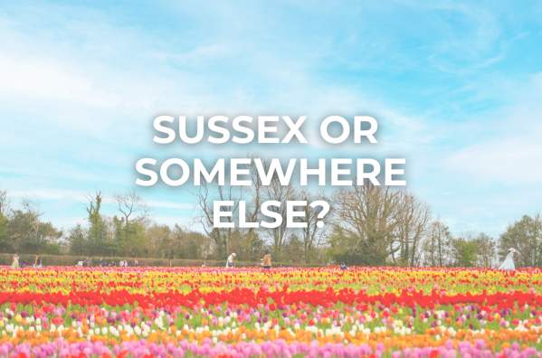 Discover the regions' best destination dupes