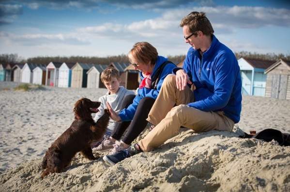 The dog-friendly beaches of Sussex