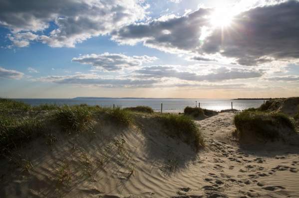 An expert guide to rockpooling