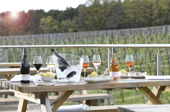 Sparkling and Spas: Three days of Sussex wine and wellness