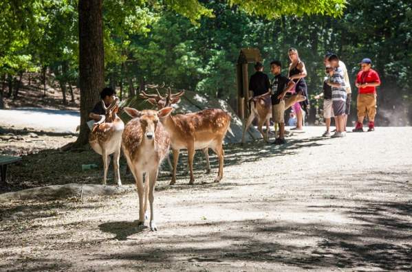 Southwick's Zoo