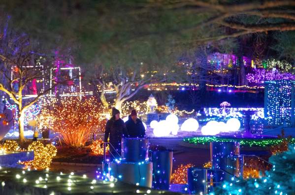 Night Lights: Dazzling Gardens