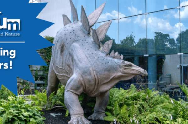 Dino Day