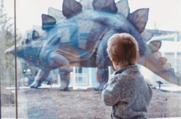 Wild About Winter Vacation Week