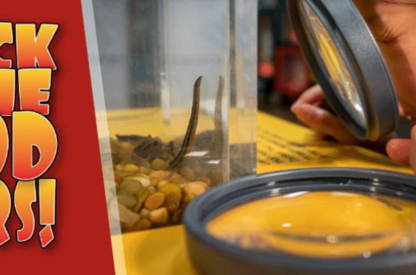 Attack of the Bloodsuckers! Exhibit Opening at the EcoTarium