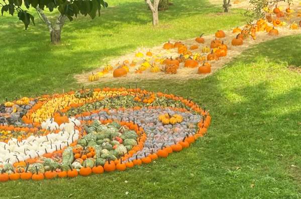 Bemis Farms Nursery