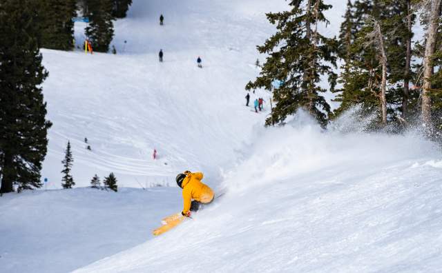 Skier going down a run at Snowbird Resort