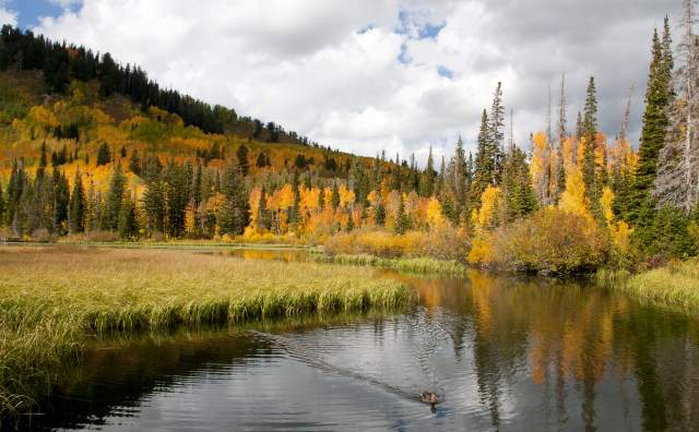 Silver Lake in Big Cottonwood Canyon
