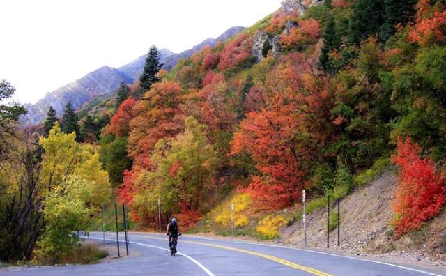 Millcreek Canyon Mountain Biking