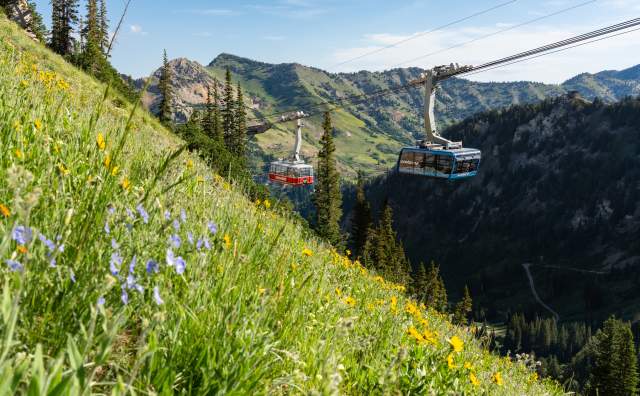 Aerial Tram at Snowbird