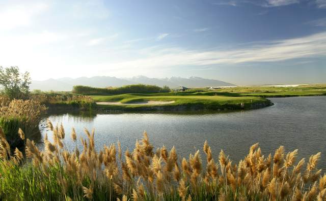 8green Golf Header Photo
