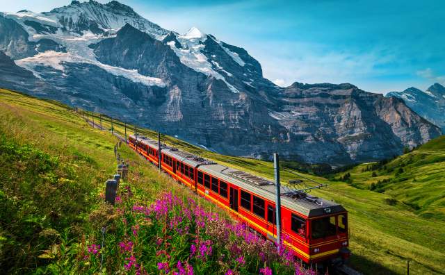 Red train traveling through a green mountainside field with snow covered swiss alps in the background
