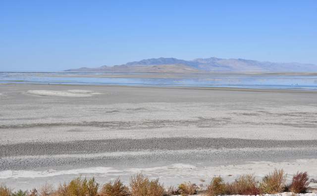 Tumbleweeds in the foreground with grey/white desert then water then a bit of mountain in the distance