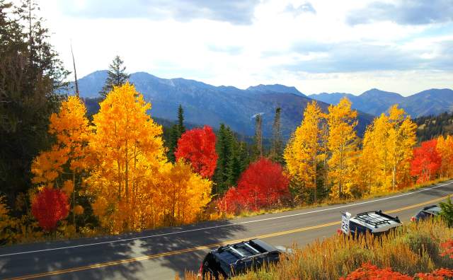 Adobe Stock Fall 2025