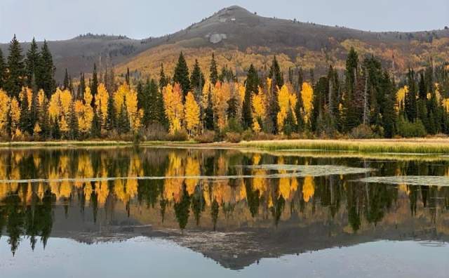 Silverlake Boardwalk