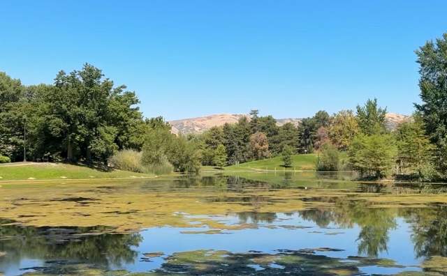 Image of the pond at liberty park