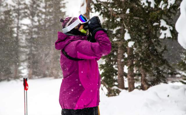 Birding on Skis at Alta Ski Resort