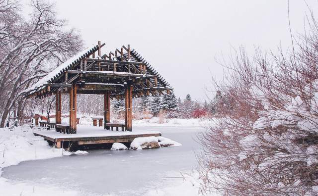 Red Butte Gardens during winter