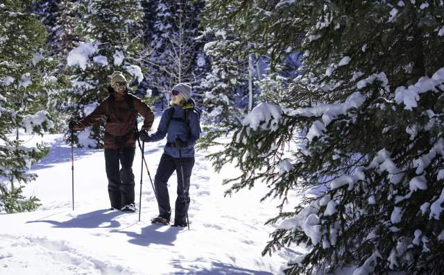 Snowshoe Guardsman Pass