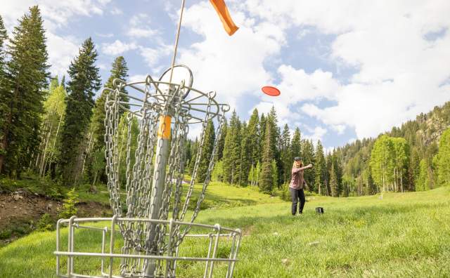 Disc Golf