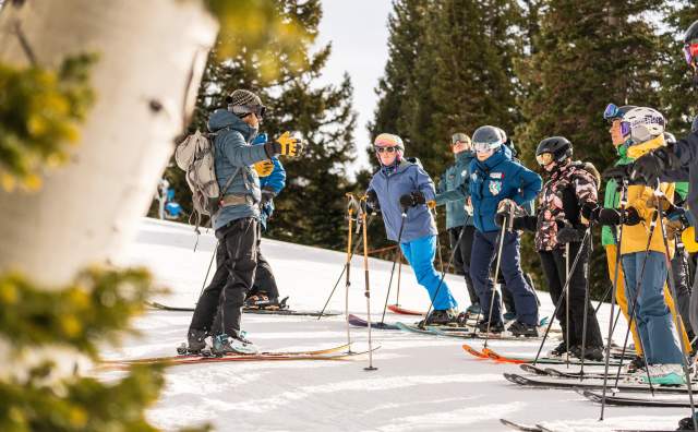 Looking past an aspen tree at a group of skiers listening to another skier who is speaking to them