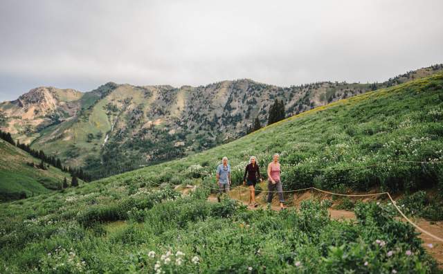 3 people hiking on a path through the wildflowers with mountains in the background