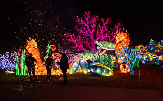 Aquarium Lantern Festival