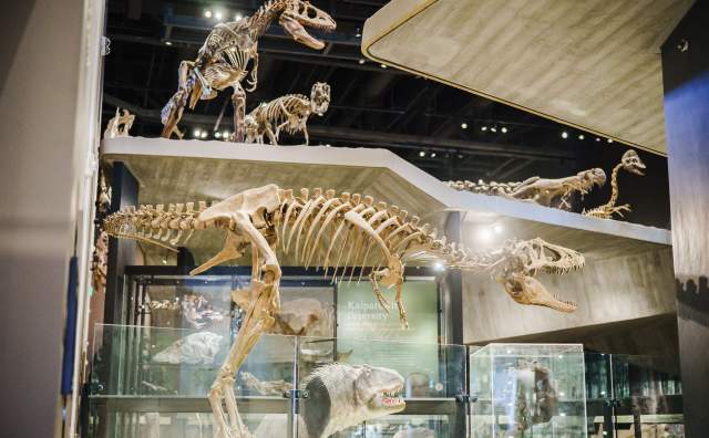 The Natural History Museum of Utah