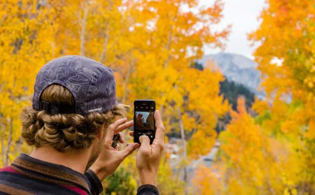 Man Taking Photo of Fall Trees in Little Cottonwood Canyon