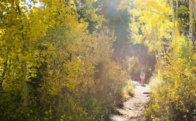 Exploring Big Cottonwood Canyon in the fall is a perfect getaway