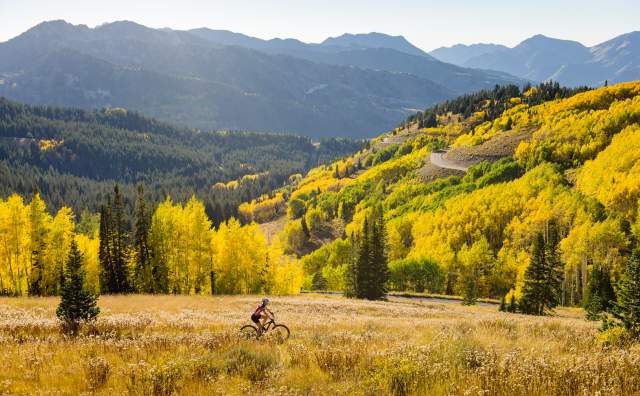 Fall - Brighton Resort