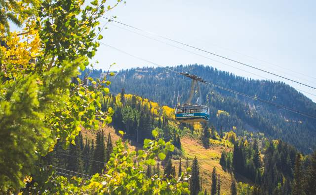 Aerial Tram at Snowbird in the Fall