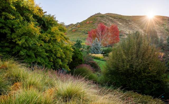 Red Butte Garden in the fall.