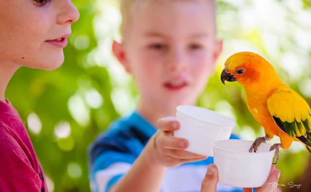 Tracy Aviary
