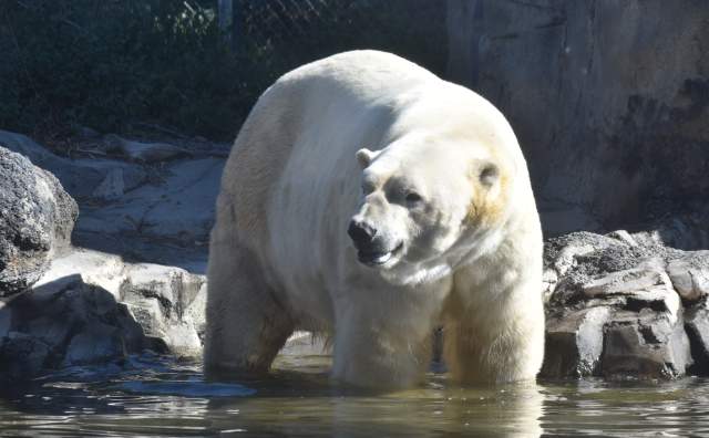 Utah's Hogle Zoo