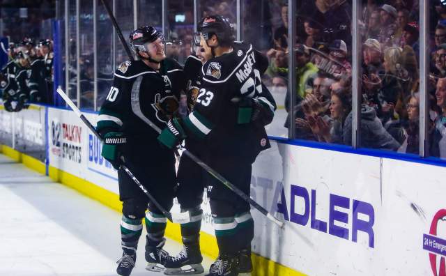 Utah Grizzlies