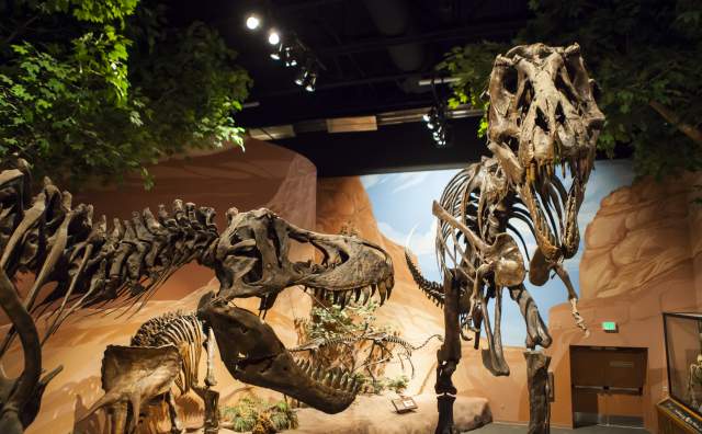 Museum of Ancient Life at Thanksgiving Point
