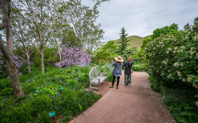 Red Butte Garden - Utah's Botanical Garden