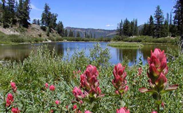 Silver Lake/Lake Solitude