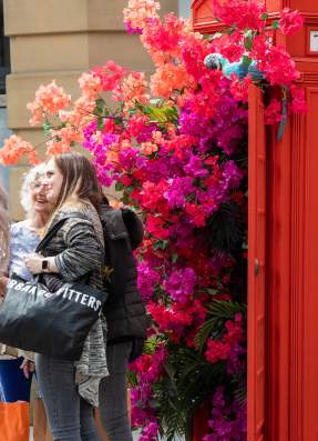 Your Manchester Flower Festival Itinerary