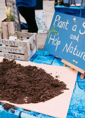Get Creative at The Manchester Flower Festival - Your Workshop Guide