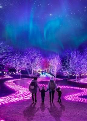 Northern Lights Manchester with John Lewis: Festive Magic Illuminates Heaton Park