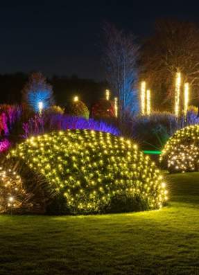 RHS Glow at RHS Garden Bridgewater: Magical Winter Lights, UK Premieres & Festive Fun (2025 Guide)