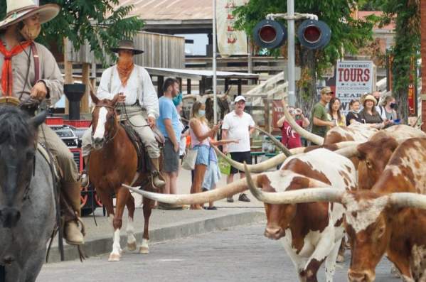 After Hours: Where the Fort Worth Herd Drovers Spend Free Time
