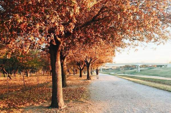 Fall Fun in Fort Worth