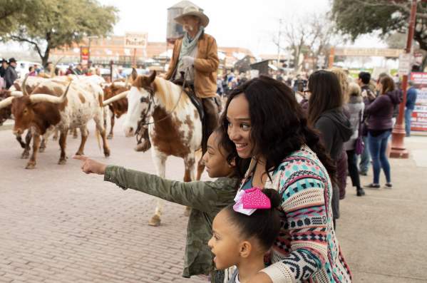 2 Hours in the Stockyards: 5 Miles in Fort Worth