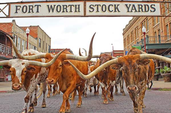 Stockyards