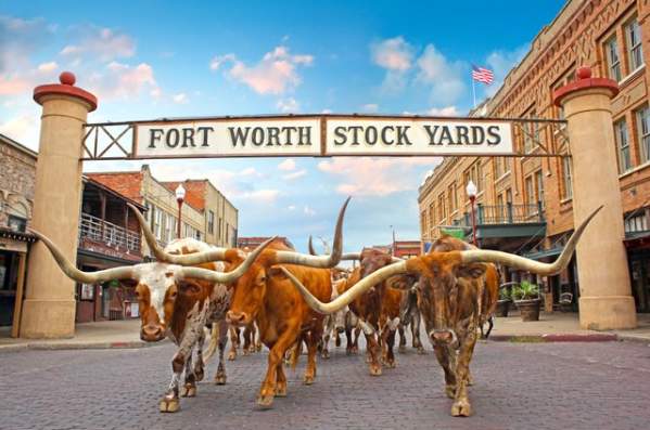 Stockyards