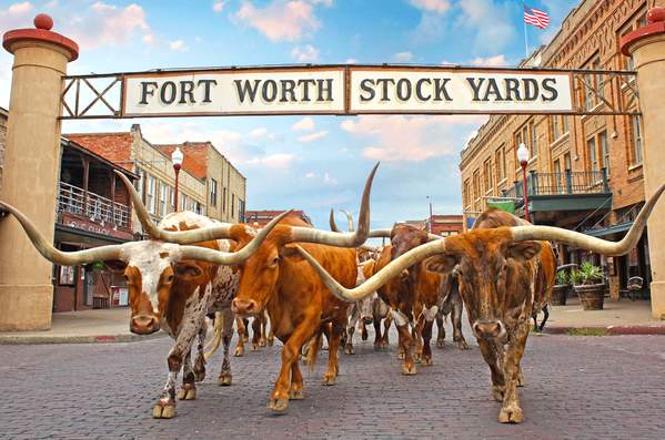 Fort Worth Stockyards